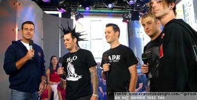 trl3.jpg